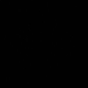 Meet your Posher, Elianeth